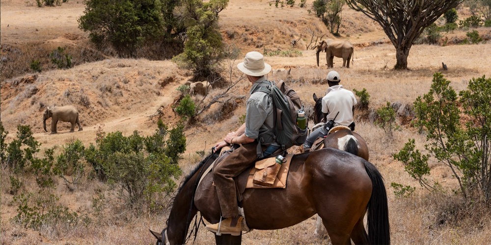 Expériences de safari uniques au Kenya : à pied et à cheval