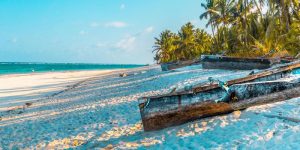 Kenya Safari et Séjour Plage : Les Meilleures Combinaisons