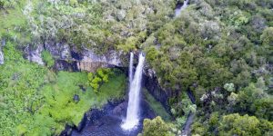 Parc National d'Aberdare