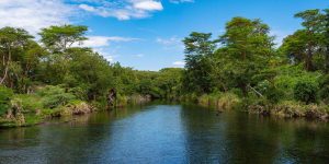 Parc National de Tsavo Ouest Kenya