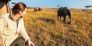 Pourquoi le Kenya est la destination safari numéro un en Afrique