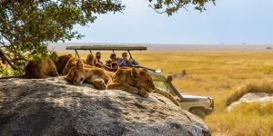Safaris Romantiques au Kenya pour Jeunes Mariés