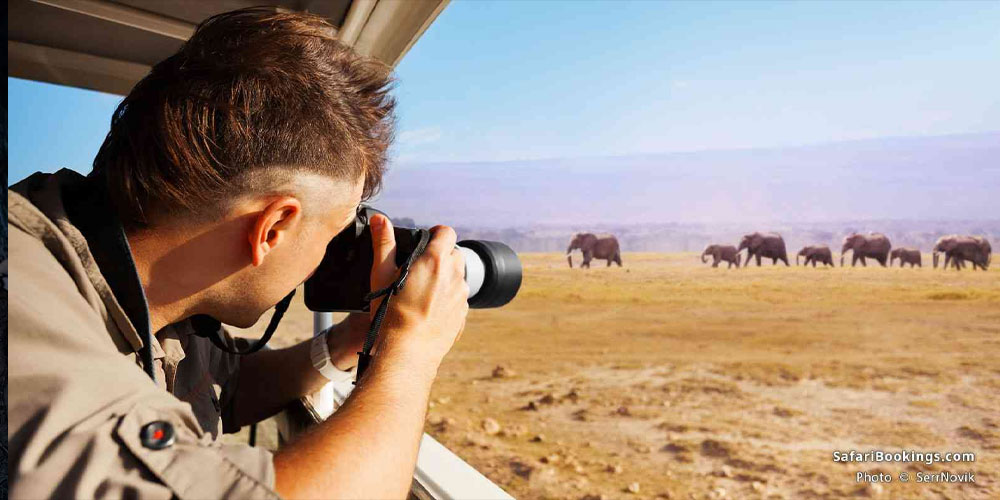 Safaris au Kenya pour photographes : circuits spécialisés