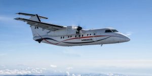 Safaris en avion au Kenya : gagnez du temps et voyez plus