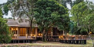 Top Lodges et Camps de Safari au Kenya pour 2025