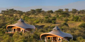 Voyages Durables : Safaris Écoresponsables au Kenya