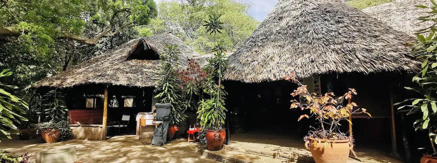 Fig Tree Mara Camp