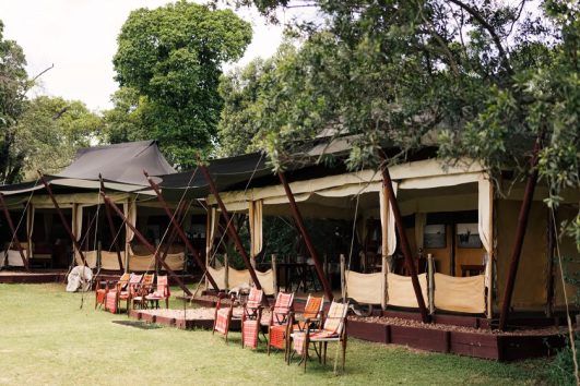 Fig Tree Mara Camp
