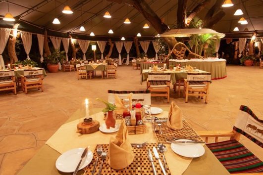 Kibo Safari Camp