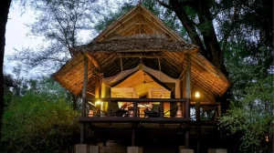 Camp- de- Tentes- Samburu- Intrepids