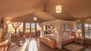 Camp -Maisha- Eaux- Douces -Ol -Pejeta -région -de- Eaux -Douces