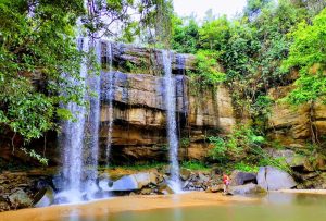 Parc national des de Shimba Hills