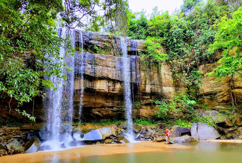 Parc national des de Shimba Hills