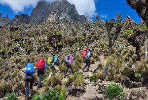 Parc National du Mont Kenya