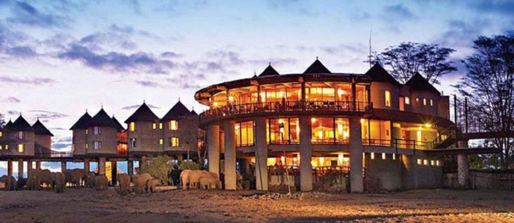 Saltlick-Safari-Lodge-(Sanctuaire-des-collines-de-Taita)