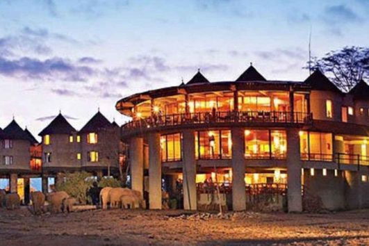 Saltlick-Safari-Lodge-(Sanctuaire-des-collines-de-Taita)