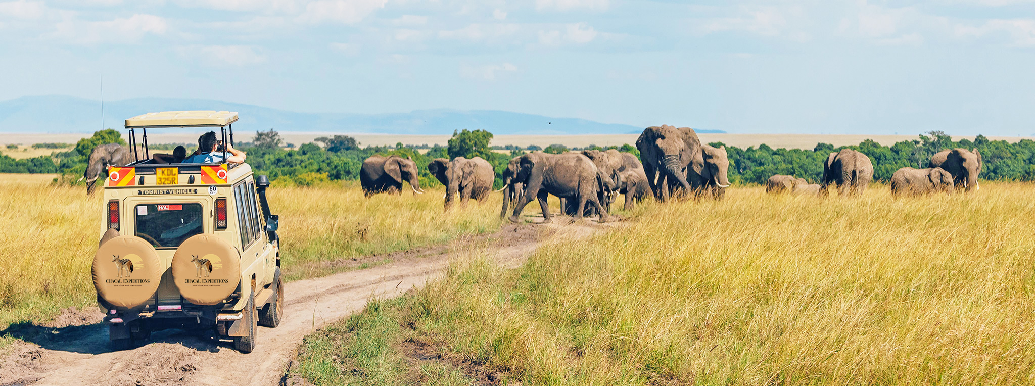 Visiter le Kenya|Conseils, Activités et Lieux Incontournables