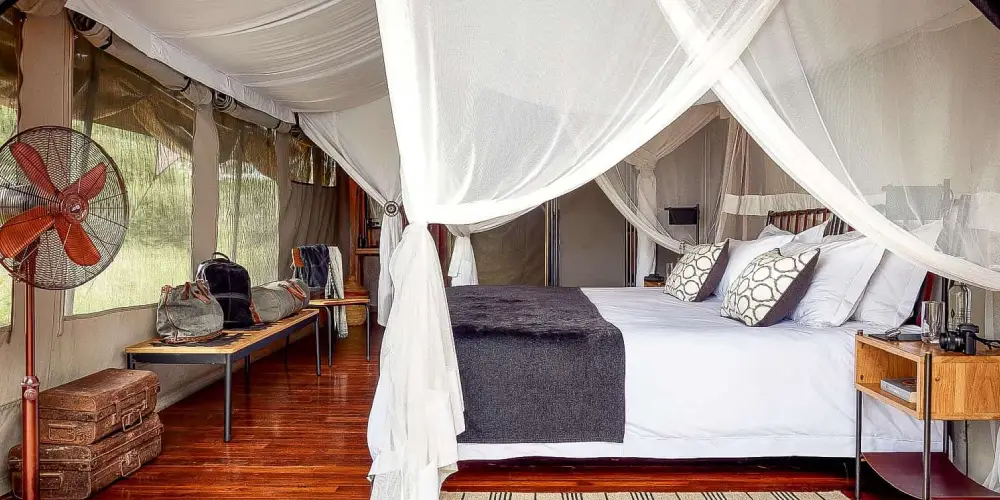 Top 5 des Lodges de Gamme Moyenne pour les Safaris de la Migration au Kenya
