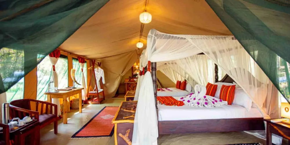 Camps Abordables dans le Masai Mara pour les Voyageurs à Petit Budget