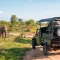 Voyager au Kenya : Nos conseils pour partir en safari