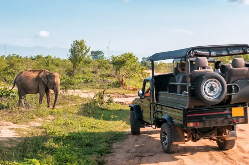 Voyager au Kenya : Nos conseils pour partir en safari