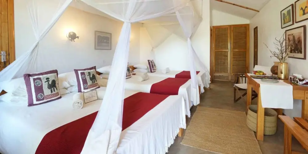 Lodges dans les Réserves Privées pour Observer la Migration en Toute Tranquillité